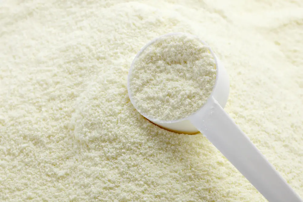 milk powder